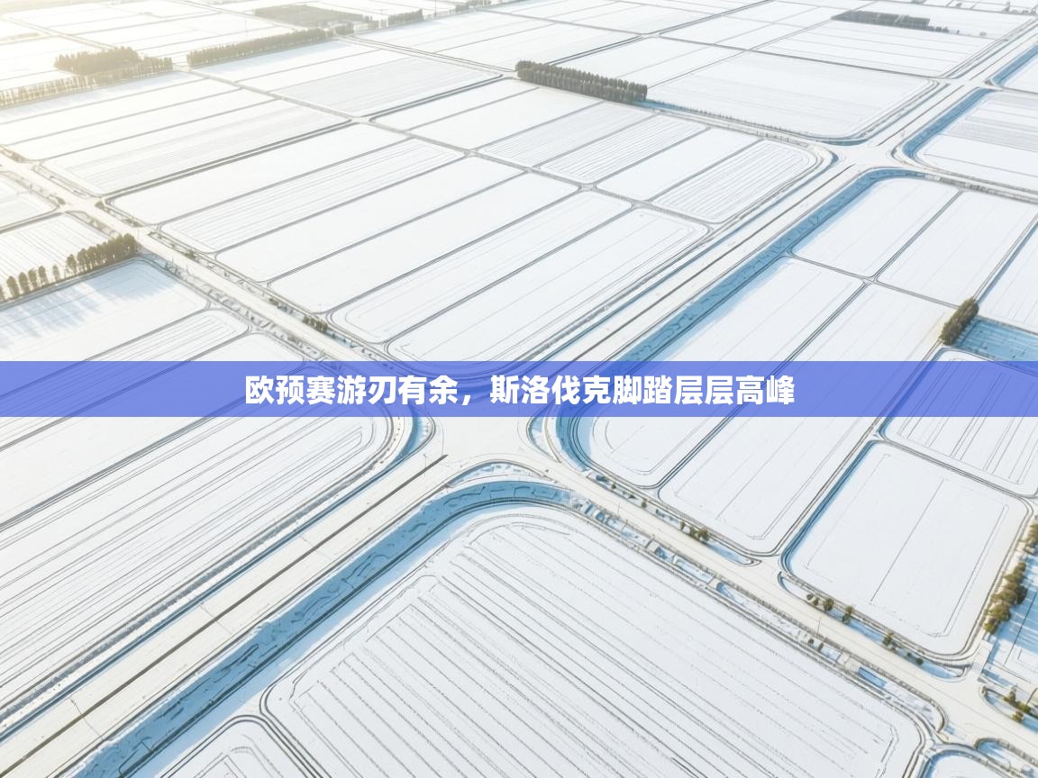 开云体育会员VIP开通-欧预赛游刃有余，斯洛伐克脚踏层层高峰  第4张